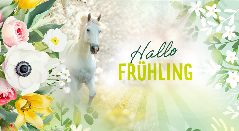 Ein weißes Pferd läuft durch eine blühende Frühlingslandschaft mit bunten Blumen.